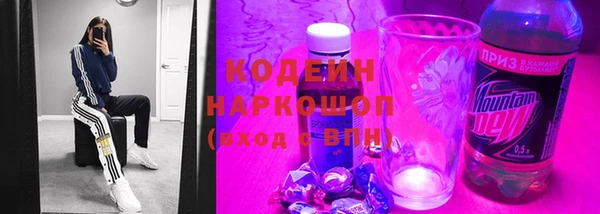 соль ск Кукмор