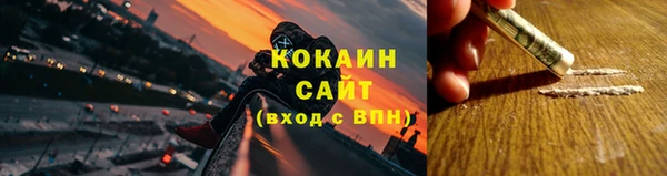 соль ск Кукмор