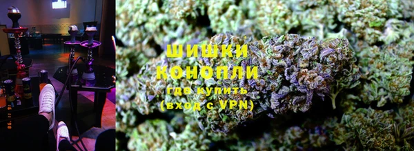 соль ск Кукмор