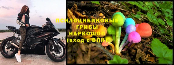 соль ск Кукмор