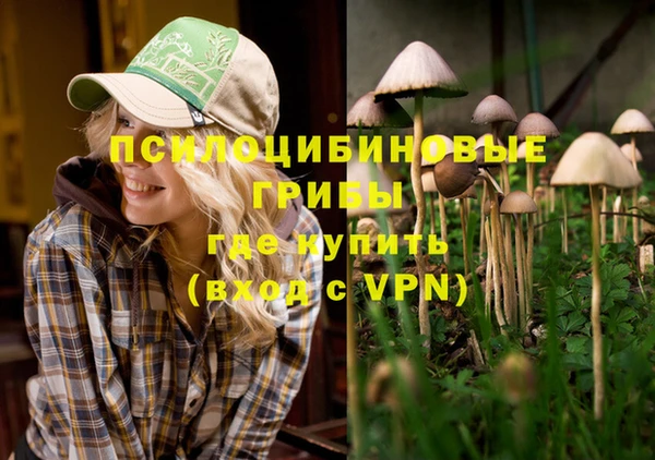 а пвп мука Куйбышев